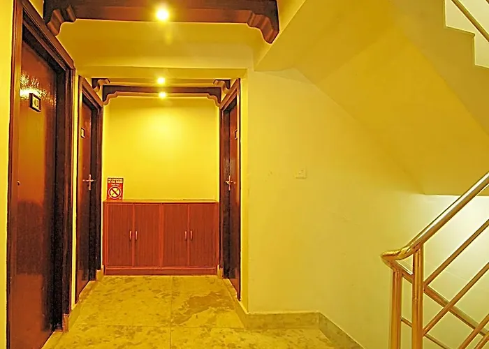 Bubo Himalaya